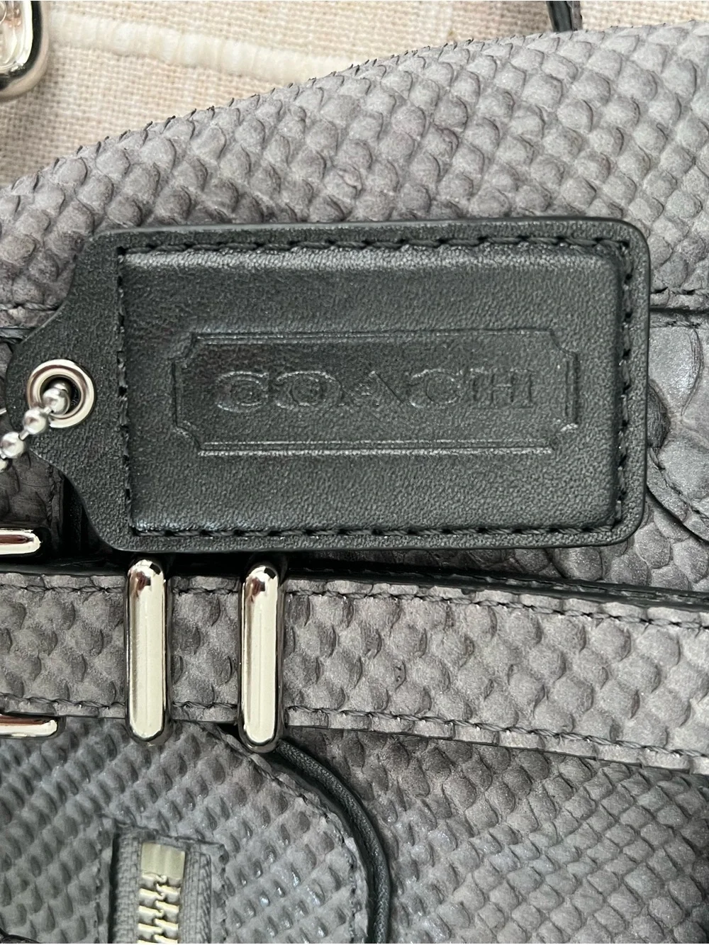 Coach Kristin Gray Python-Embossed  Bag with Silver Hardware F12938